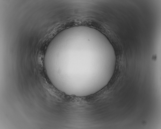 X0000116280770200912211818