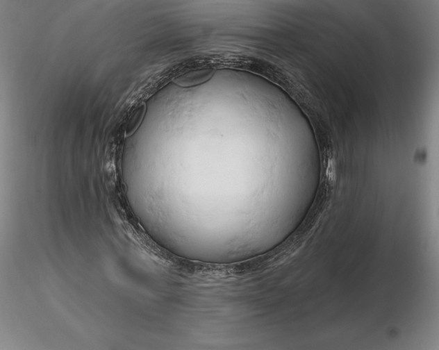 X0000116280771200912211818