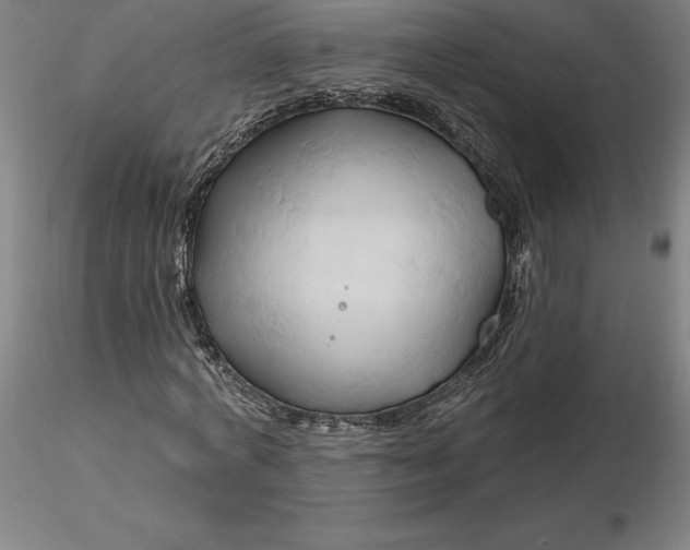 X0000116280772200912211818