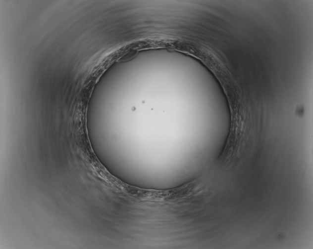 X0000116280773200912211818