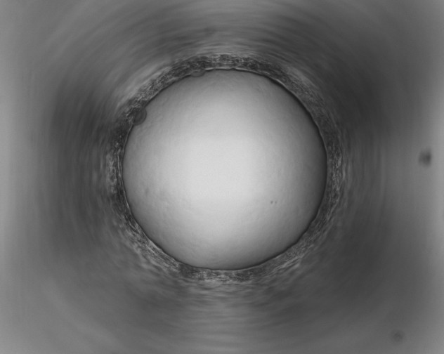 X0000116280774200912211818