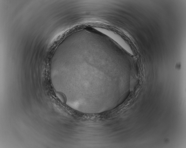 X0000116280775200912211818