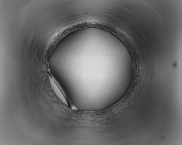 X0000116280776200912211818