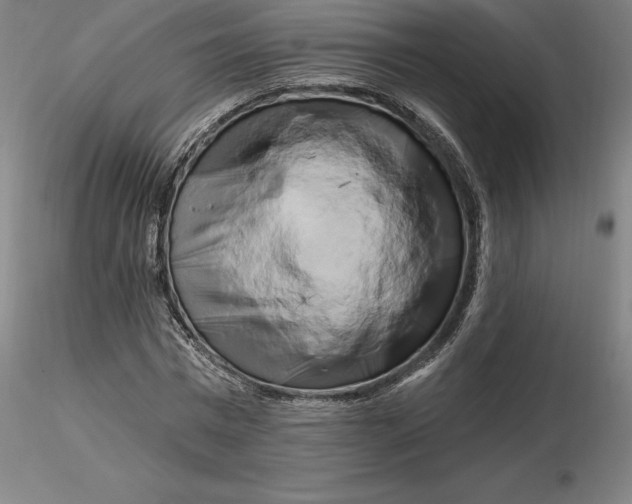 X0000116280777200912211818