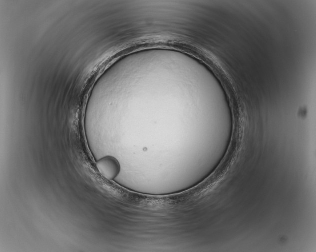 X0000116280778200912211818