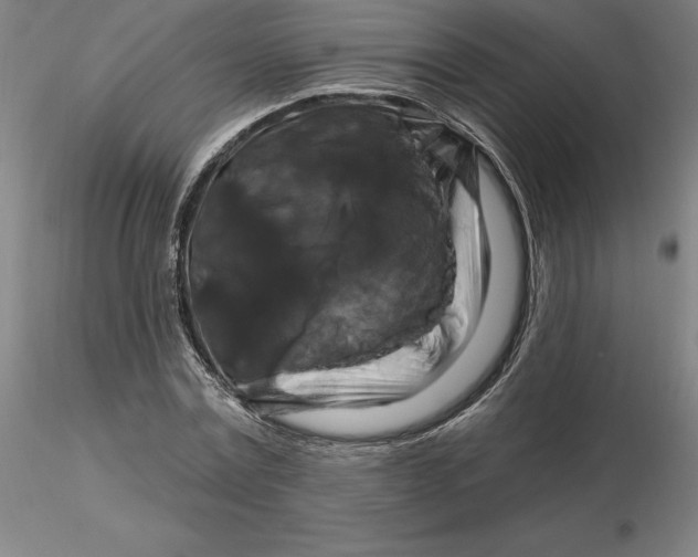 X0000116280779200912211818