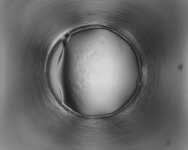 X0000116280780200912211818