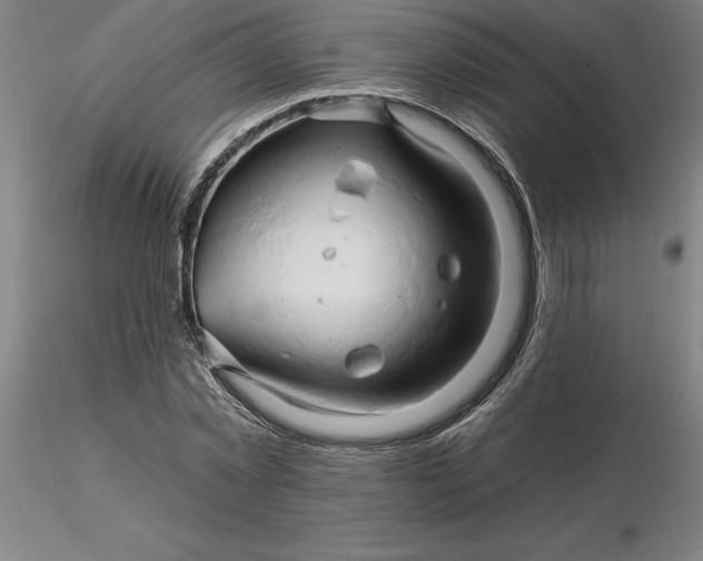 X0000116280781200912211818