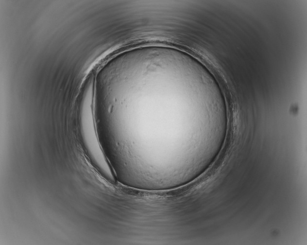 X0000116280782200912211818