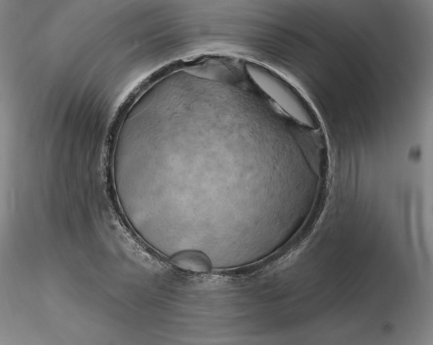 X0000116280783200912211818