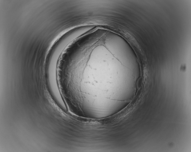 X0000116280784200912211818