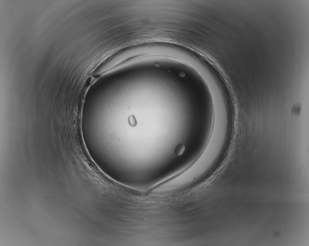 X0000116280785200912211818