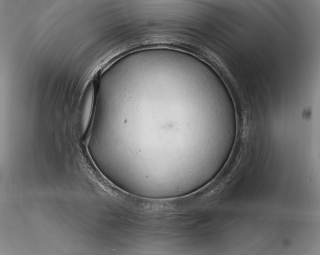 X0000116280786200912211818