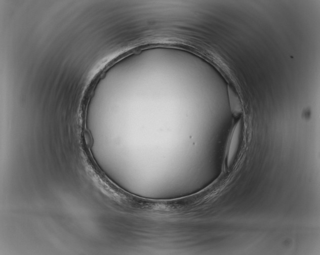 X0000116280787200912211818