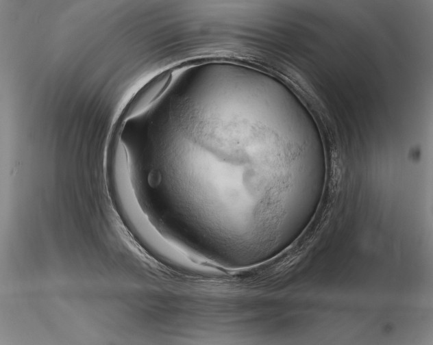 X0000116280788200912211818