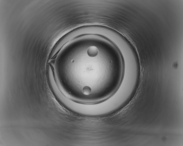 X0000116280789200912211818