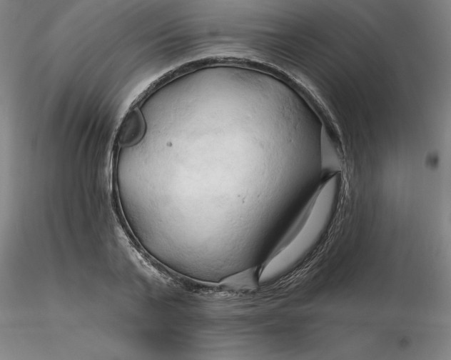 X0000116280791200912211818