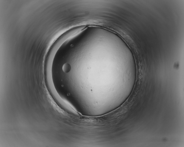 X0000116280792200912211818