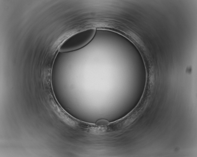 X0000116280793200912211818