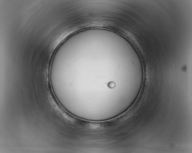 X0000116280794200912211818