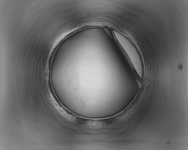 X0000116280795200912211818