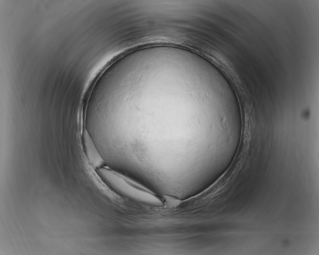 X0000116280796200912211818