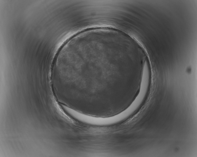 X0000116280797200912211818