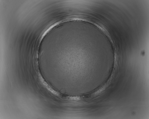 X0000116280798200912211818