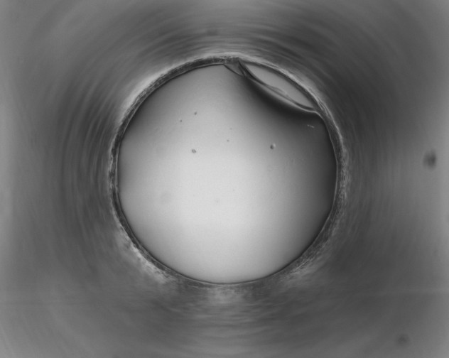 X0000116280799200912211818