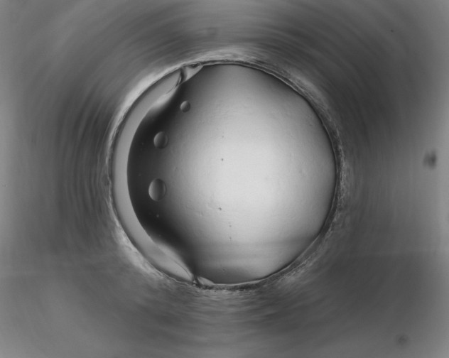 X0000116280800200912211818