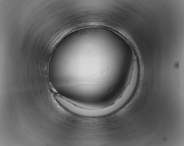 X0000116280801200912211818