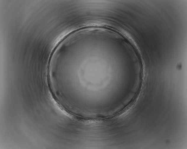 X0000116280802200912211818