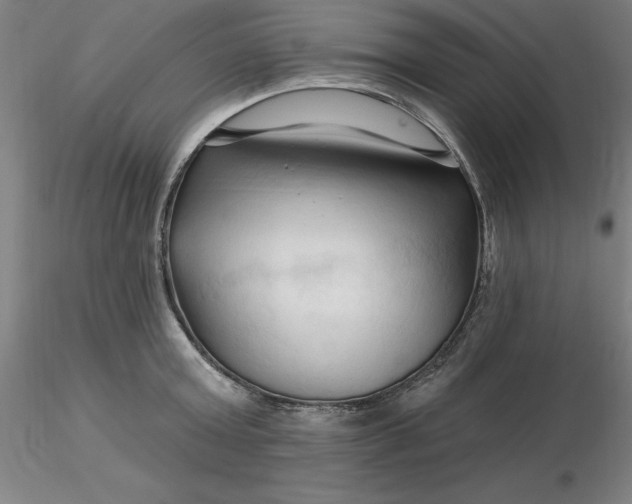 X0000116280803200912211818