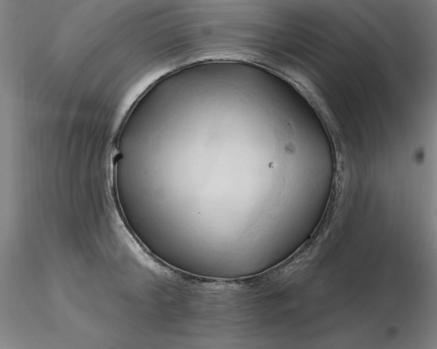 X0000116280804200912211818