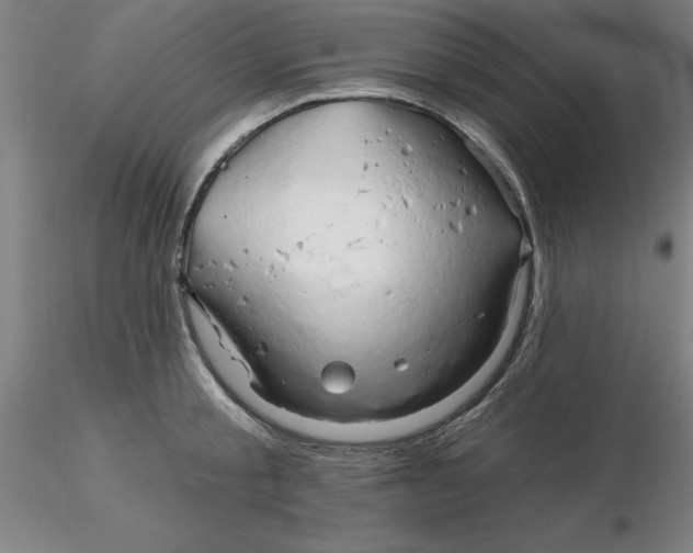 X0000116280805200912211818