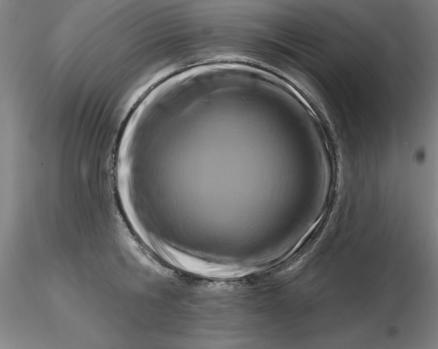 X0000116280806200912211818