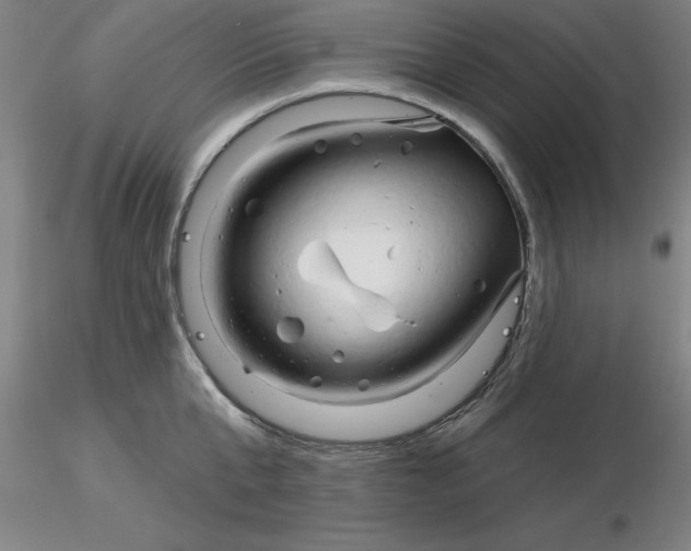 X0000116280807200912211818