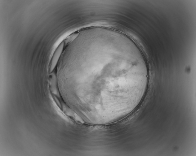 X0000116280808200912211818