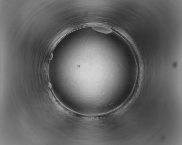 X0000116280809200912211818