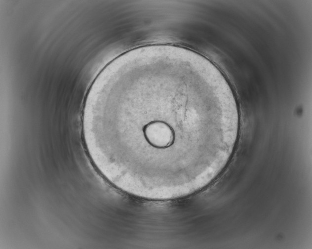 X0000116280810200912211818