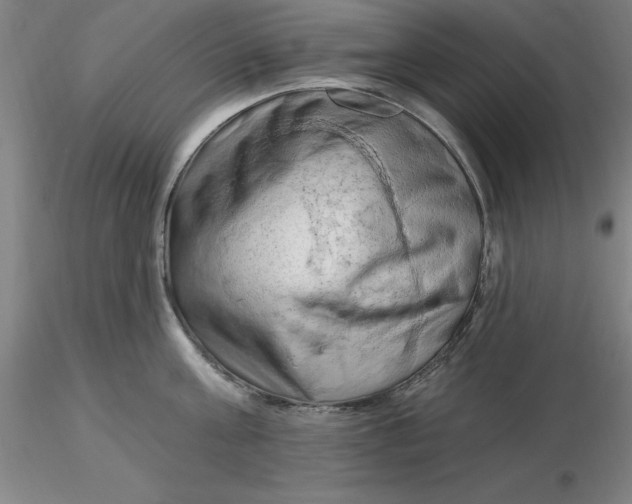 X0000116280811200912211818