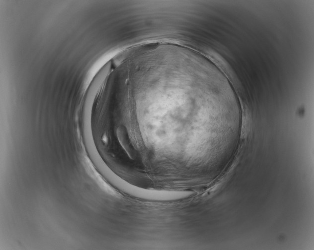 X0000116280812200912211818