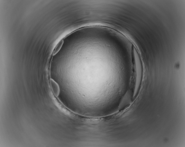 X0000116280813200912211818