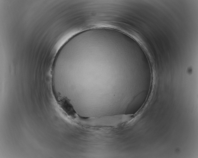 X0000116280814200912211818