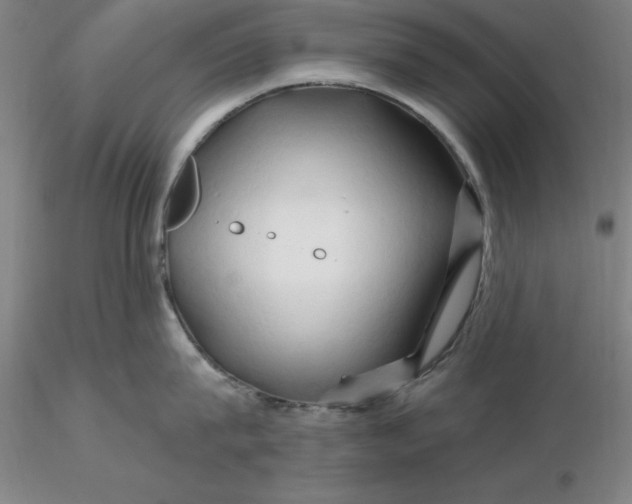 X0000116280815200912211818