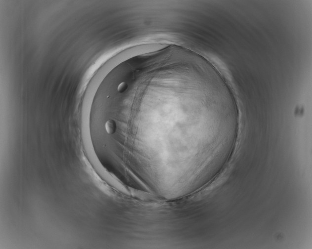 X0000116280816200912211818