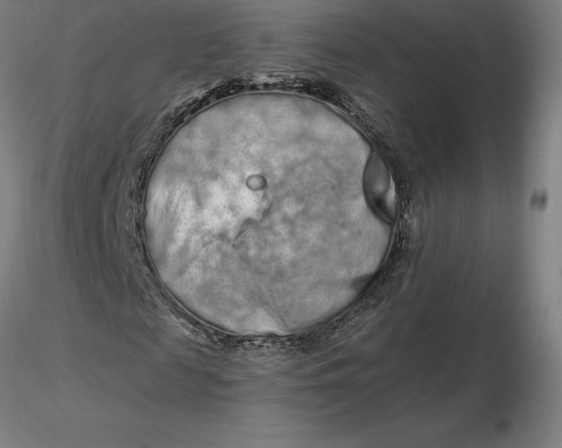 X0000116280817200912211817