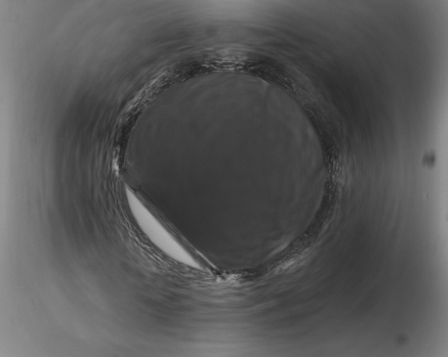 X0000116280818200912211817