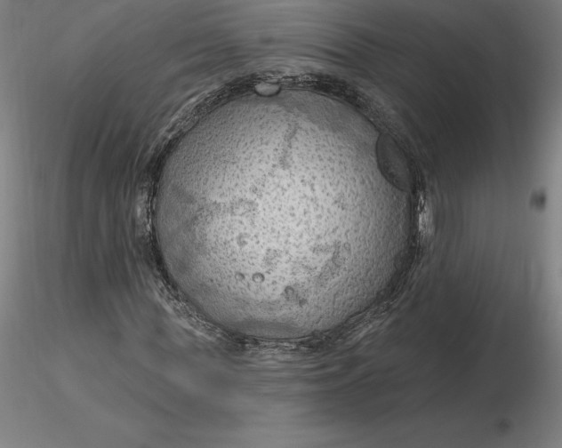 X0000116280819200912211817