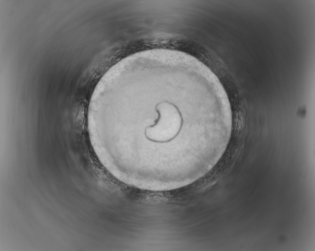 X0000116280820200912211817